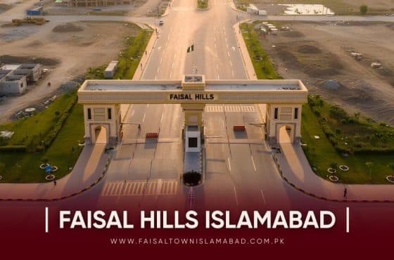 Faisal Hills